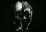 The Golem