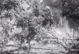 Riffed Short 01 Control